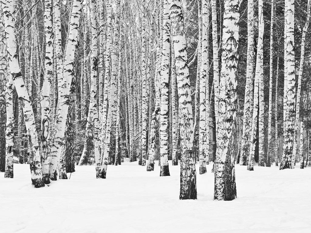 b-icelands-biggest-volcano-timelapse
