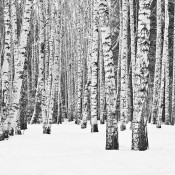 b-icelands-biggest-volcano-timelapse