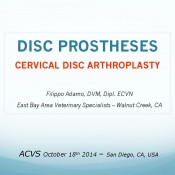 681f2b96166356c33097fdd1c2ffe304-01