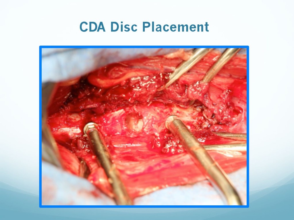 681f2b96166356c33097fdd1c2ffe304-153