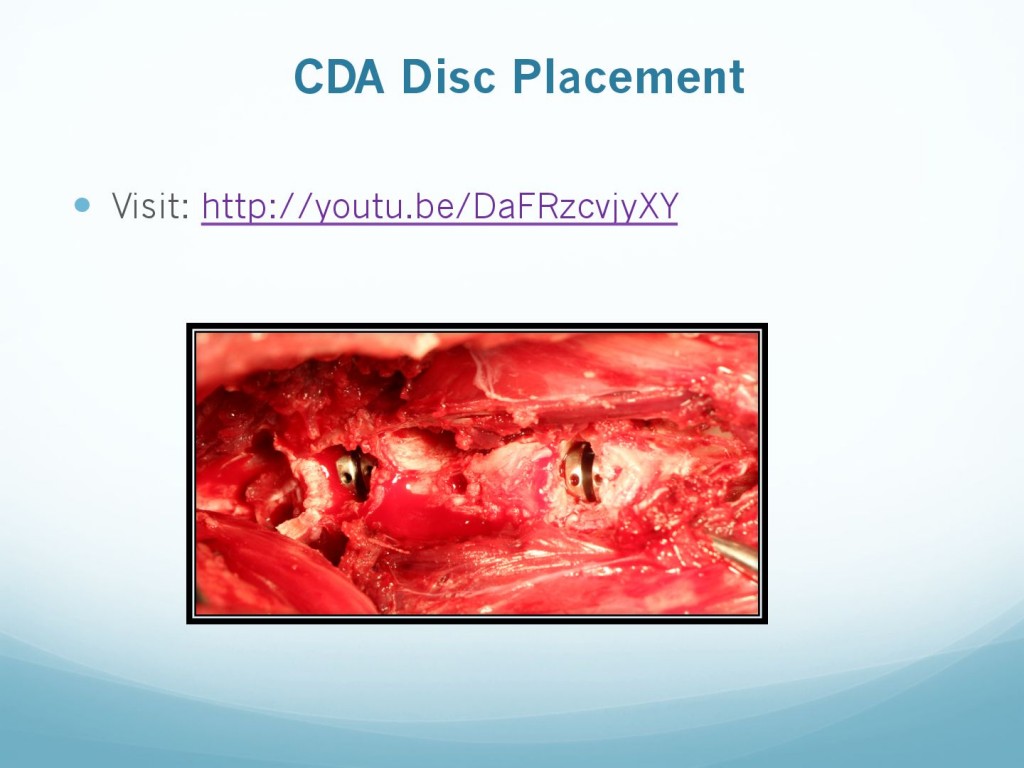 681f2b96166356c33097fdd1c2ffe304-163