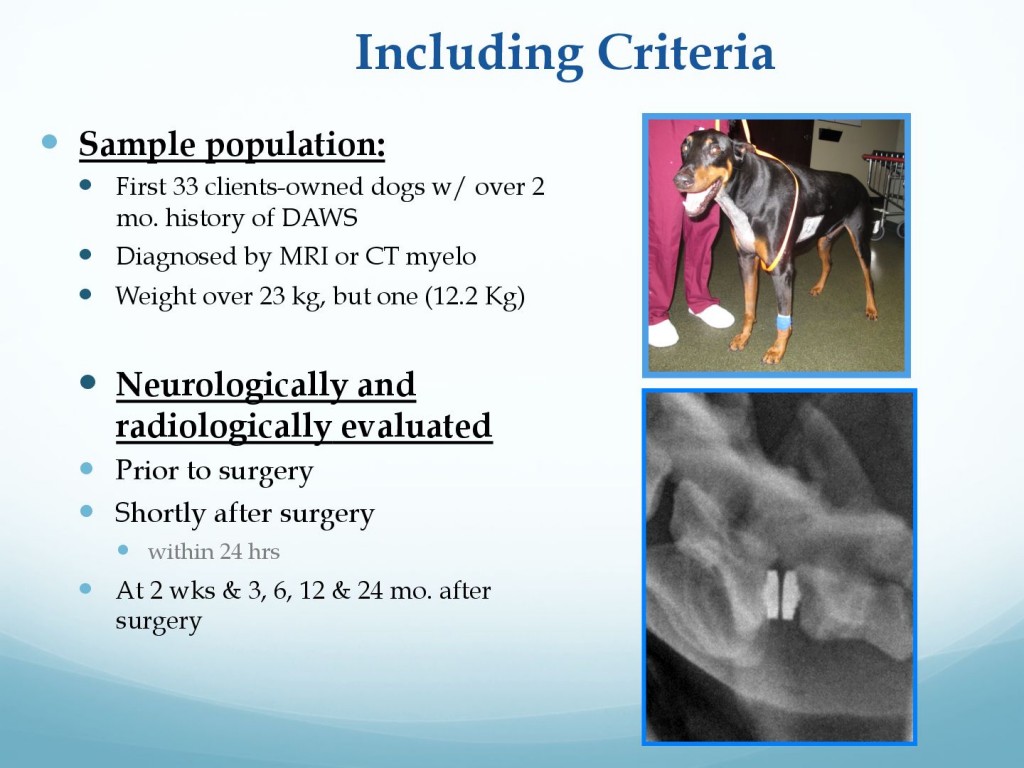 681f2b96166356c33097fdd1c2ffe304-172