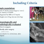 681f2b96166356c33097fdd1c2ffe304-172