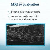 681f2b96166356c33097fdd1c2ffe304-21