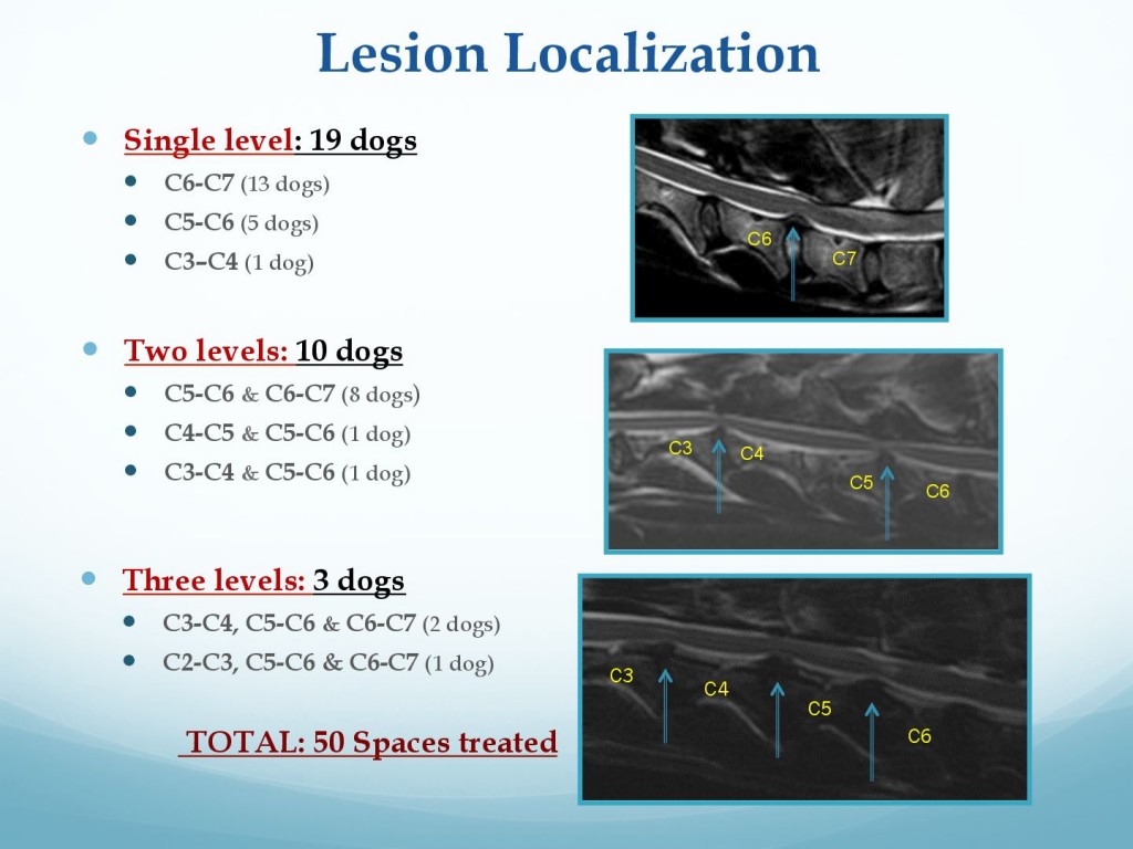 681f2b96166356c33097fdd1c2ffe304-24