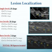 681f2b96166356c33097fdd1c2ffe304-24