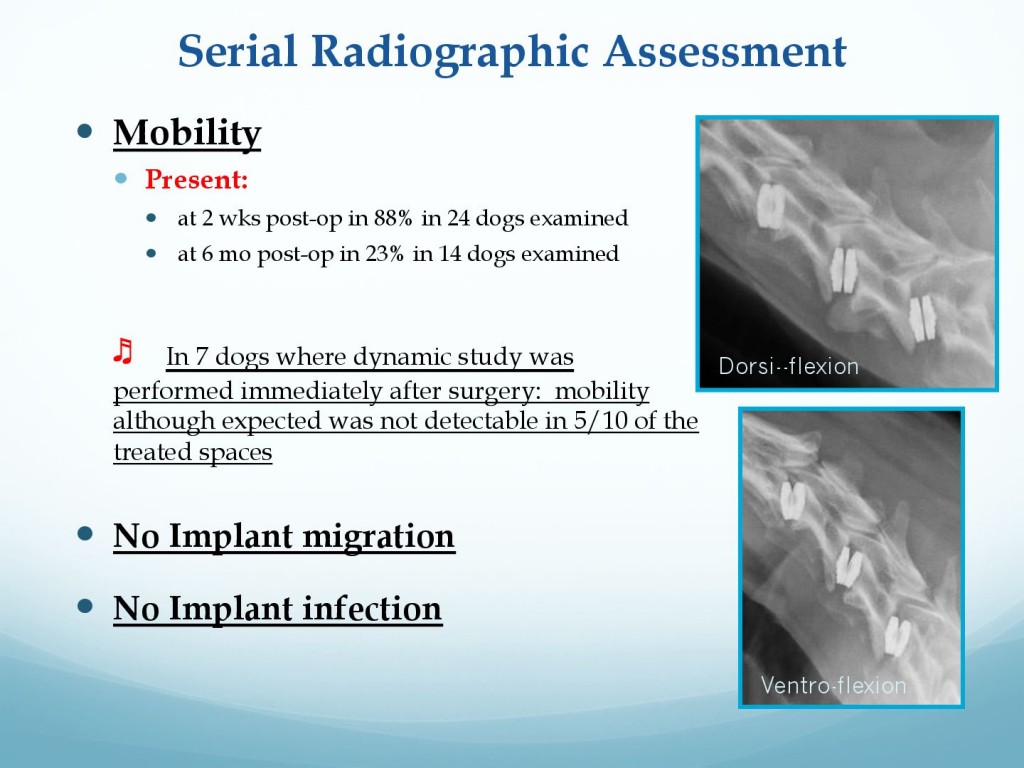 681f2b96166356c33097fdd1c2ffe304-28
