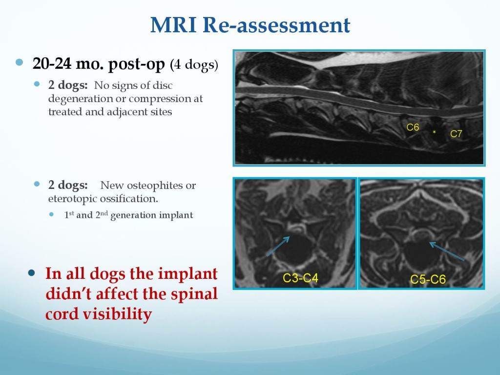 681f2b96166356c33097fdd1c2ffe304-29