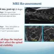 681f2b96166356c33097fdd1c2ffe304-29