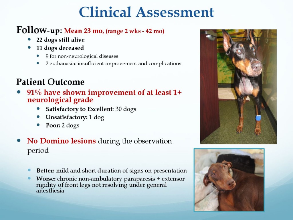 681f2b96166356c33097fdd1c2ffe304-31