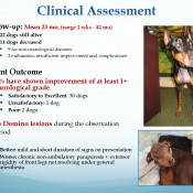 681f2b96166356c33097fdd1c2ffe304-31