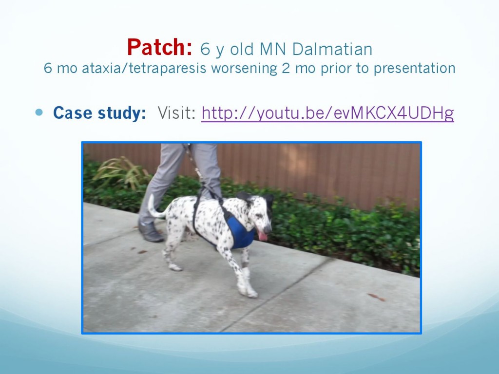 681f2b96166356c33097fdd1c2ffe304-33