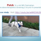 681f2b96166356c33097fdd1c2ffe304-33