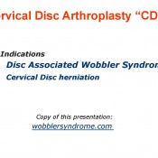 681f2b96166356c33097fdd1c2ffe304-34