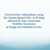 681f2b96166356c33097fdd1c2ffe304-64