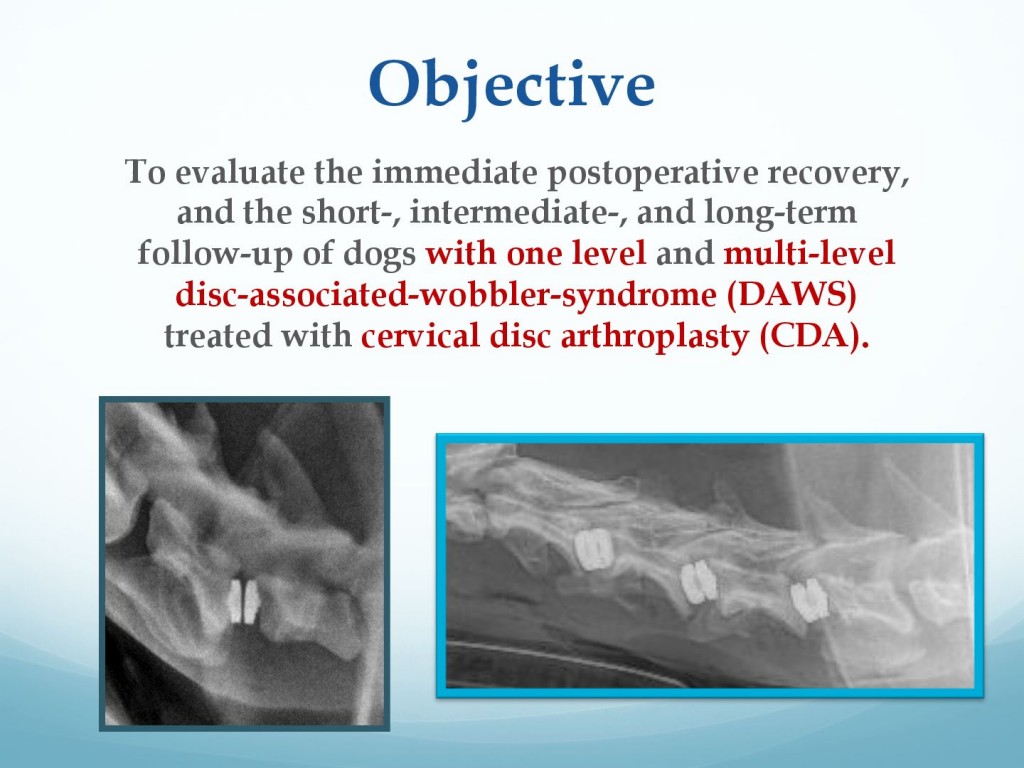 681f2b96166356c33097fdd1c2ffe304-81