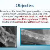 681f2b96166356c33097fdd1c2ffe304-83